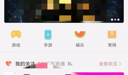 下载bilibili视频,下载与观看的完美融合